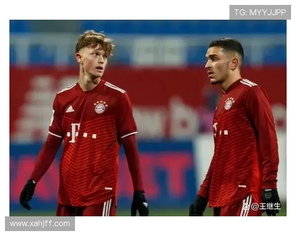 拜仁考虑小伊布担任左边锋替补